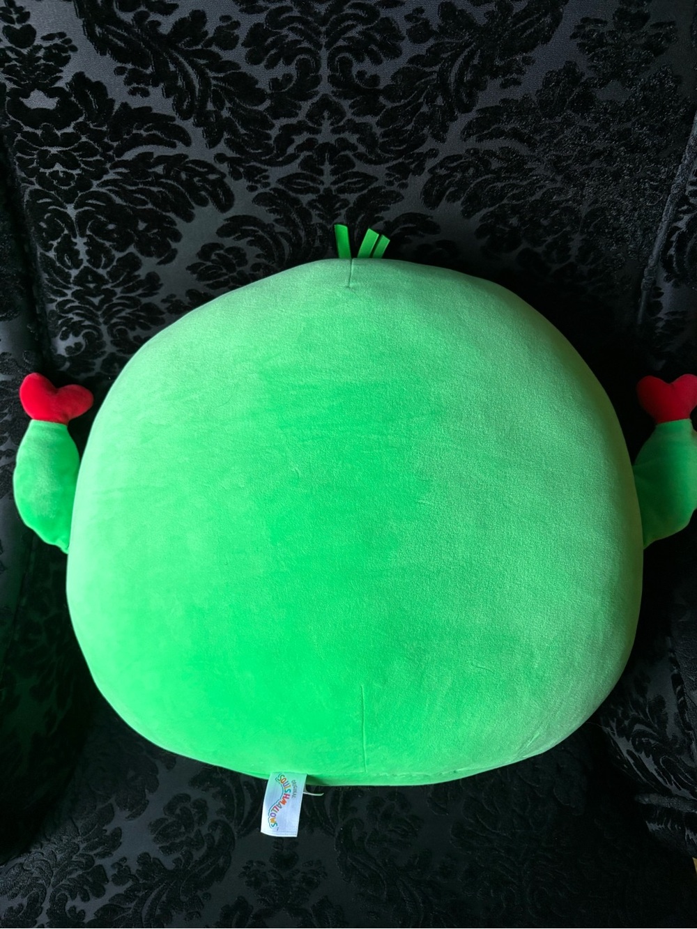 CLEARANCE 🚨 Squishmallows Big Cactus Free Hugs - Picture 2 of 8